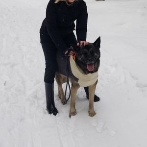 Meet your Posher, Claire